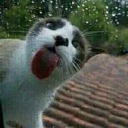 张顺的个人资料头像