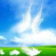 董文辉68的个人资料头像