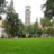 corefee4855的个人资料头像