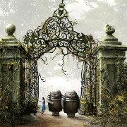 Hans夜孤寒的个人资料头像