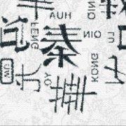 好奇的秦老板的个人资料头像