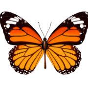 yinchao2566的个人资料头像