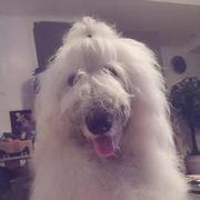 沐雨的个人资料头像