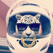 李金库的个人资料头像