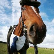 台湾漂流客的个人资料头像