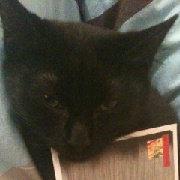 爱裸体的香蕉的个人资料头像