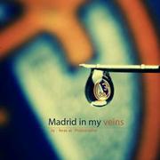 Demo1475435238234的个人资料头像