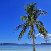 HGW只想着玩的个人资料头像