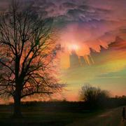 黄智宽的个人资料头像