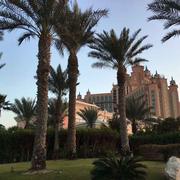 冫水水的个人资料头像