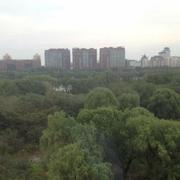 yueruiqing的个人资料头像