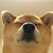 X1024s的个人资料头像