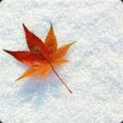 爱吃饺子的个人资料头像