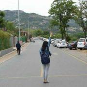 颜回刘宁的个人资料头像