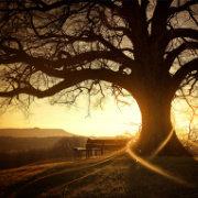 安静的沈小琦的个人资料头像