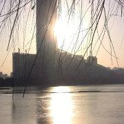 李慕白cc的个人资料头像