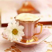 物华天宝的个人资料头像