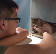 幻影刺客aaa的个人资料头像