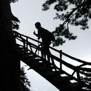 Evilgenius的个人资料头像