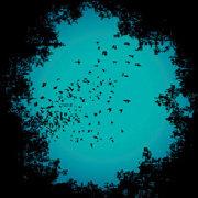 Felix_朱前的个人资料头像