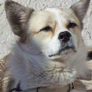 爱拍凯特的个人资料头像