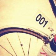 qiuone的个人资料头像