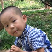 硅藻泥的个人资料头像