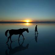 Niexiang的个人资料头像