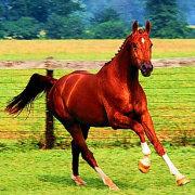 夏日杂货铺的个人资料头像