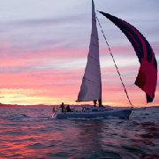 独自的步调的个人资料头像