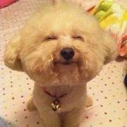 aaaa11112222yyy的个人资料头像