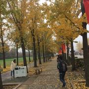 小老虎dady的个人资料头像