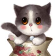 tcz的个人资料头像