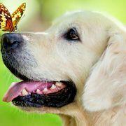 静静等风来的个人资料头像