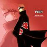 Payne11466的个人资料头像