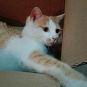 Tritty的个人资料头像