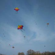 阿呆1470916935000的个人资料头像