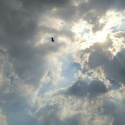 Athrun1480069762594的个人资料头像