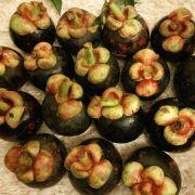 一路奔跑一路阳光的个人资料头像