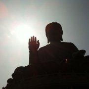 j955的个人资料头像