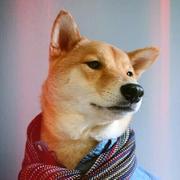 NorER的个人资料头像