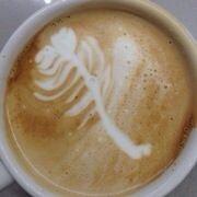 哥是卢瑟的个人资料头像