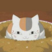 翔宇_006的个人资料头像