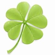 leapsea的个人资料头像