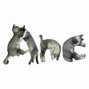 Anc6156的个人资料头像