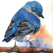 acqinz的个人资料头像