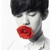 陈大杰的个人资料头像