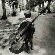 bigFish的个人资料头像