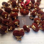 MrMudada的个人资料头像