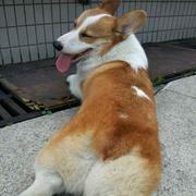 Stone1468967394582的个人资料头像